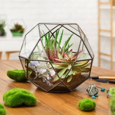 Ahşap masa üzerinde kapalı bitkiler ile cam geometrik florarium.
