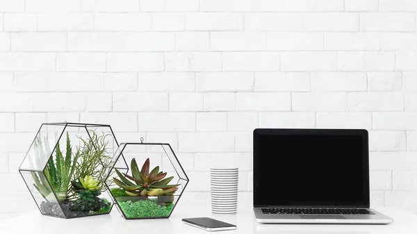 Desk with laptop and house plants at white brick wall background, copy space — Stock Photo, Image