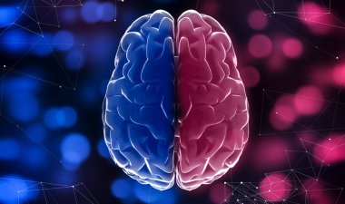 Blue and red halves of brain, blurred lights background, close up clipart