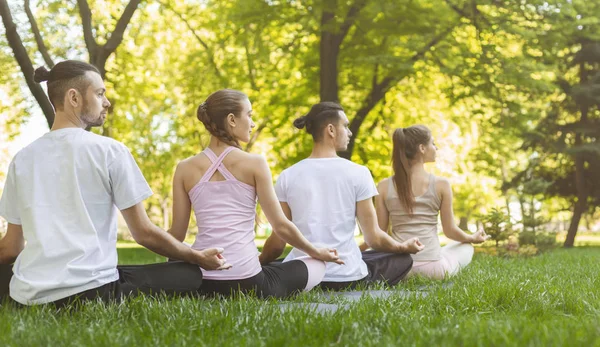 Cuatro amigos disfrutando de la meditación matutina en el parque — Foto de Stock