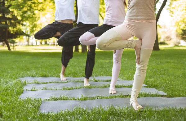 Primer plano de los entusiastas del yoga que se alojan en Tree pose sobre esteras — Foto de Stock