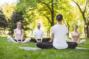 Parkta eğitmen ile yoga dersi pratik genç gülümseyen insanlar