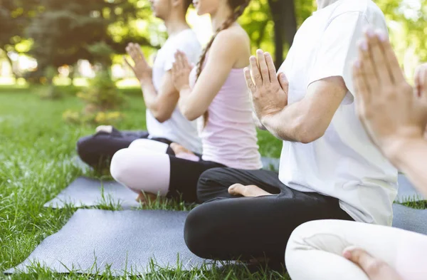 Grupp av vänner håller händerna i Namaste medan mediterar i parken — Stockfoto