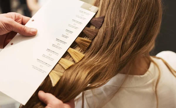 Estilista elegir el color de muestras de cabello para la mujer en el salón —  Fotos de Stock