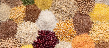 Different type of grains with fiber and carbohydrates clipart