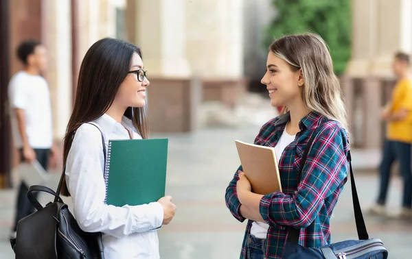 Rest between lectures. Girls talking outdoors after class — Stock Photo, Image