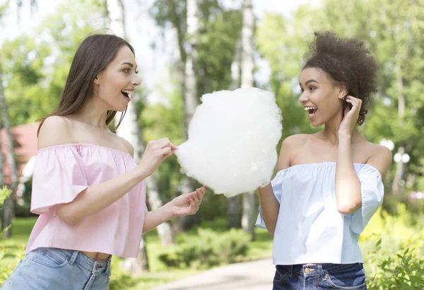 Amigas felizes comendo algodão doce no parque — Fotografia de Stock