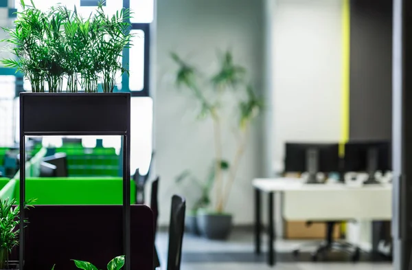 근로자 좋은 두뇌 활동을 위한 녹색 식물을 가진 사무실 인테리어 — 스톡 사진