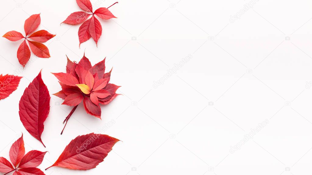 Bright red dead leaves on white background