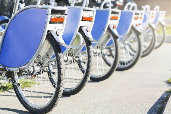 Синие похожие велосипеды стоят на парковке напрокат — стоковое фото