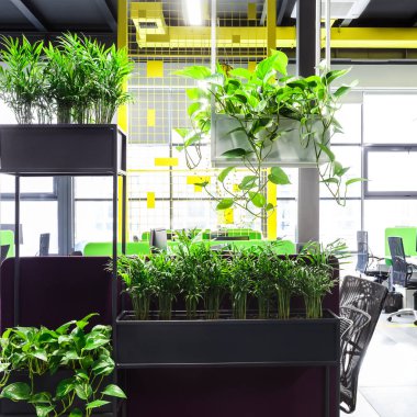 Dinlenmek için yeşil bitki köşesi ile Ofis alanı iç