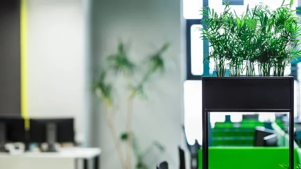 Interior de escritório natural moderno com plantas verdes e computadores — Fotografia de Stock