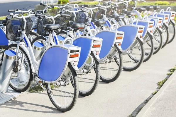 Bérelhető kerékpárok a városban, szabad hely — Stock Fotó