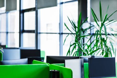 Loft pencereleri ile yeşil ve gri renklerde doğal ofis iç