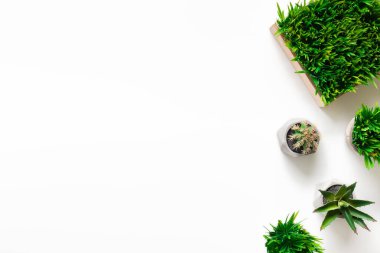 Beyaz arka planda çeşitli kaplarda yapay bitkiler