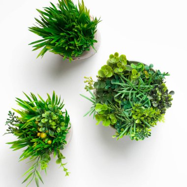 Beyaz arka planda yuvarlak tencerede çim bitkiler