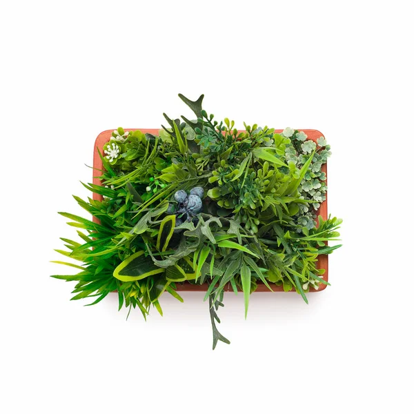 Sztuczna roślina trawiastą w doniczce na białym tle — Zdjęcie stockowe