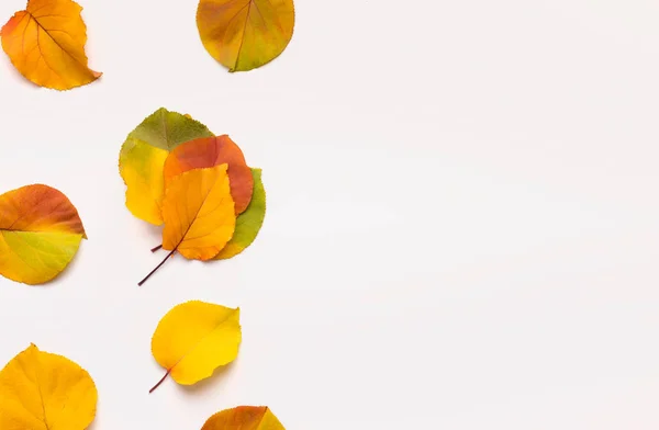 Kreativer Rahmen aus herbstlich gefärbten fallenden Blättern auf Weiß — Stockfoto