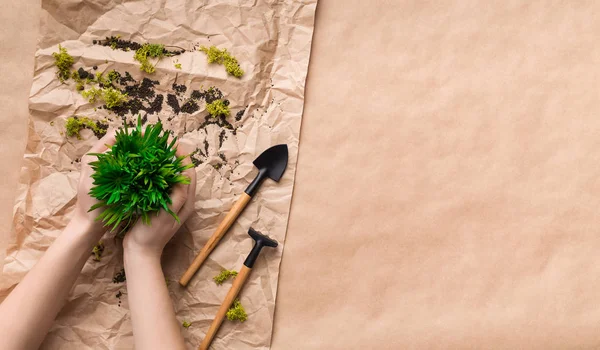 Vrouw planten bloem in pot op ambachtelijk papier — Stockfoto