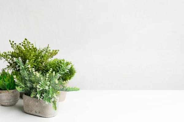 Gemengde kunst planten in potten tegen lichte muur — Stockfoto