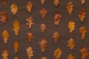 Kuru meşe yaprakları düz çizgi ile Sonbahar arka plan