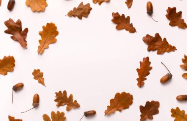 Meşe kahverengi arka planda beyaz yuvarlak çerçeve ile düşmüş yaprakları