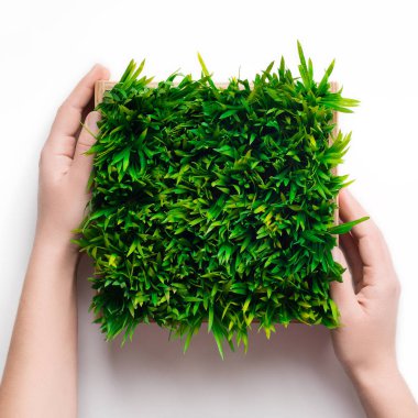 Tasarımcı beyaz masa üzerinde kare tencerede bitki koyarak