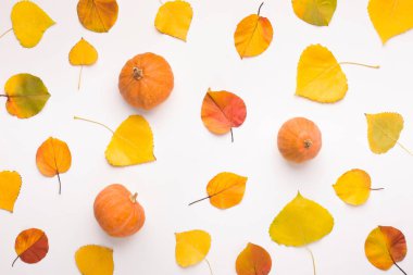 Beyaz üzerinde sarı ölü yaprakları ile Sonbahar arka plan