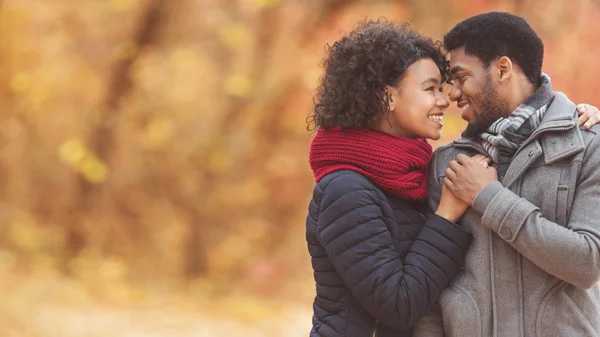 Pareja serena que se une entre sí, citas en el parque de otoño —  Fotos de Stock