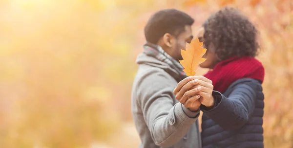 Casal romântico escondido atrás de folha de carvalho beijando no parque de outono — Fotografia de Stock