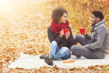 Genç siyah çift sonbahar parkında flört, piknik yapıyor