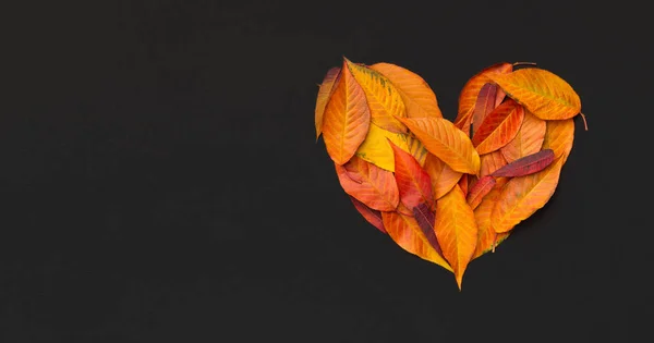 Grand coeur de feuilles tombées de couleur sur fond noir — Photo