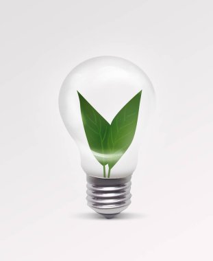 Ampul içinde büyüyen genç bitki