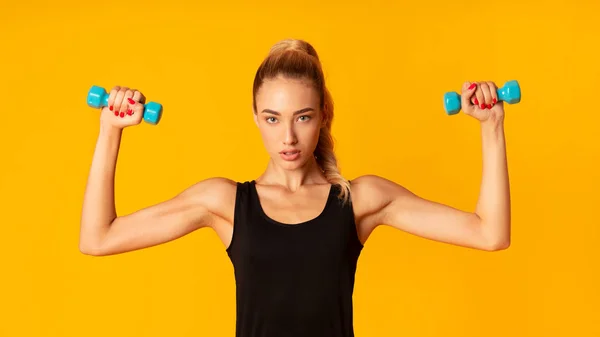 Determinado Jovem Senhora Exercício com halteres, Estúdio tiro, Panorama — Fotografia de Stock