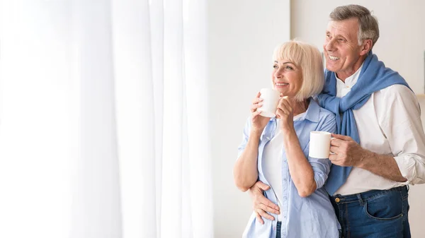 Happy senior couple drinking tea near window — Stock Photo, Image