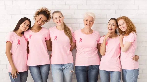 Women In Pink Ribbon T-Shirts Embracing Against White Wall, Panorama — Stok Foto