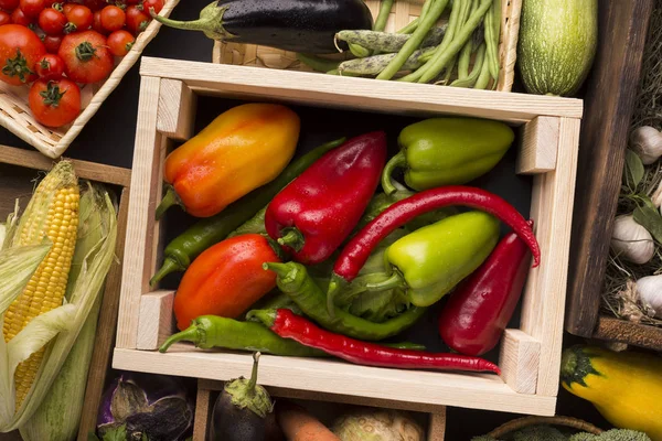 Diferentes pimentas verdes vermelhas na caixa de madeira — Fotografia de Stock