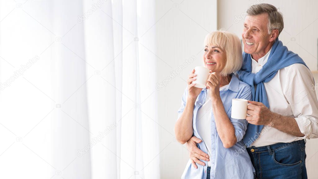 Happy senior couple drinking tea near window