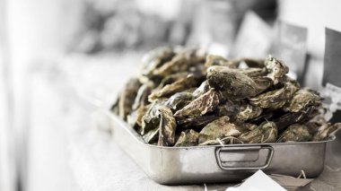 Şehir pikniminde açık havada pişirilmehazır taze midyeler