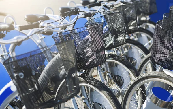 Современный городской сервис для туристов с велосипедами для совместного использования — стоковое фото