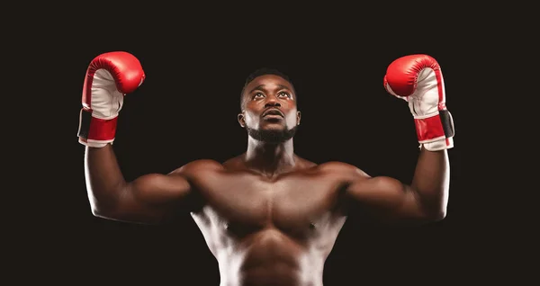 Boxeador profissional afro-americano demonstrando gesto de vitória — Fotografia de Stock