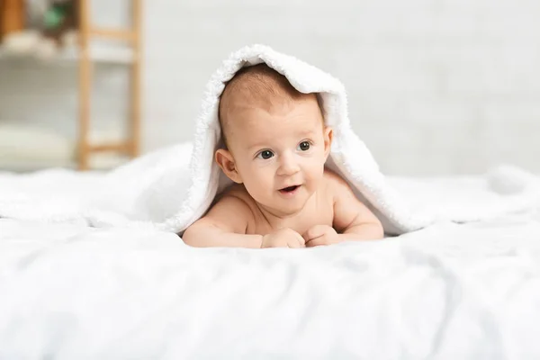 Малыш ползает на кровати, выглядывая из-под одеял. . — стоковое фото