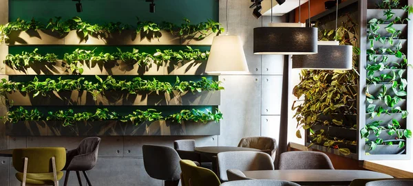 Interior floral en café moderno con plantas en macetas de decoración — Foto de Stock