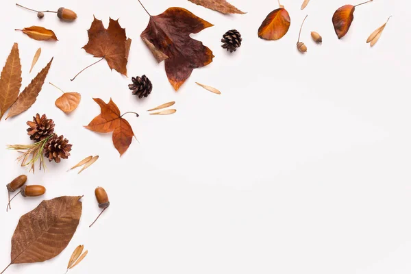 Autumn flat lay of brown fallen leaves on white background — Stock Photo, Image