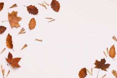 Beyaz arkaplanda sonbahar renkli bronz yapraklar