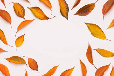 Beyazın üzerine düşmüş renkli yaprakların yaratıcı yuvarlak çerçevesi