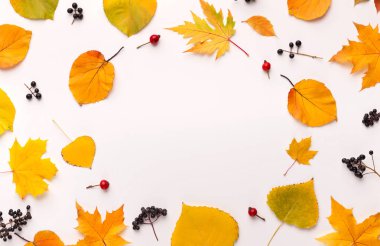 Düşen yapraklardan oluşan yaratıcı düz bir döşeme yuvarlak çerçeve oluşturuyor