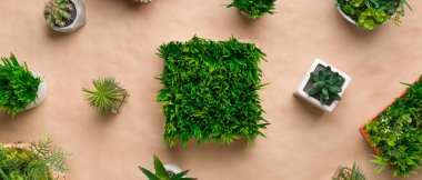 El işi kağıdında her zaman yeşil saksı bitkileri var.