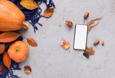 Sonbahar arkaplanında beyaz boşluk olan cep telefonu