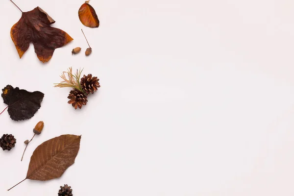 Коричневый цвет креативной осенней плоскости из коричневых листьев — стоковое фото